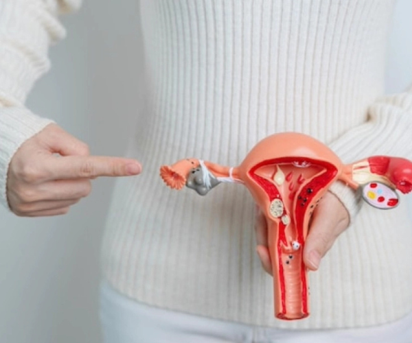 Fibroid and Endometriosis Surgery