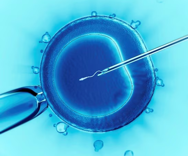 Surgical Sperm Retrieval Procedures in PCMC, Pune by Dr. Tejas Gundewar