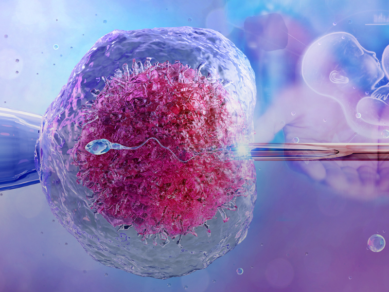 IVF Treatment Process in PCMC, Pune by Dr. Tejas Gundewar at Jeevanam Clinic